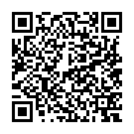 QR code for BOR9735