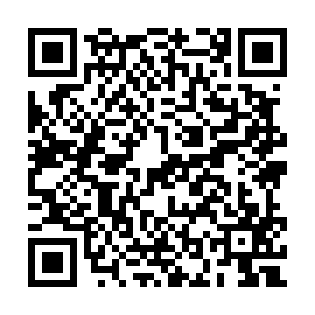 QR code for BOY4979
