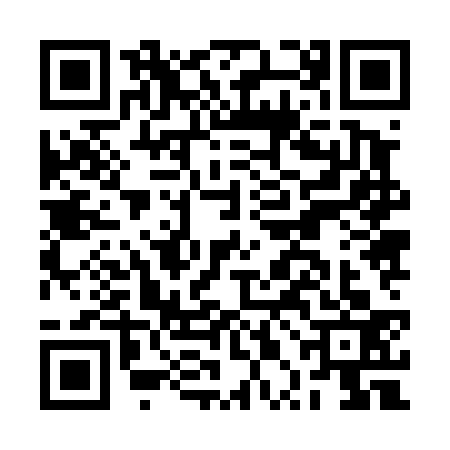 QR code for BPJ4335