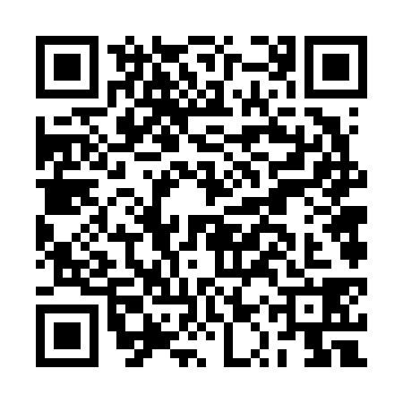 QR code for BQV6386