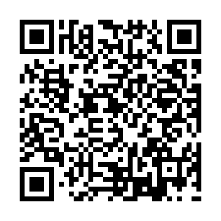 QR code for BRI0540