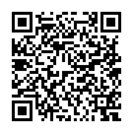QR code for BRS9119