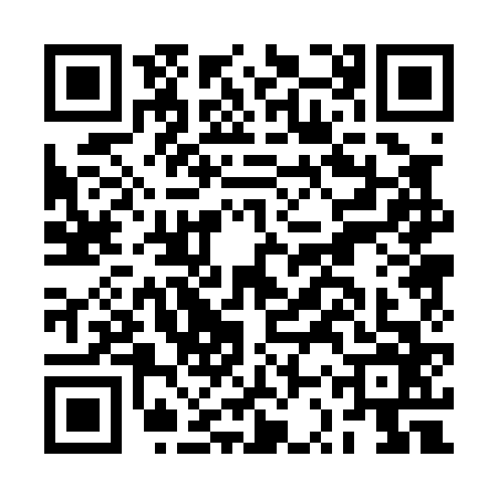 QR code for BSP0668