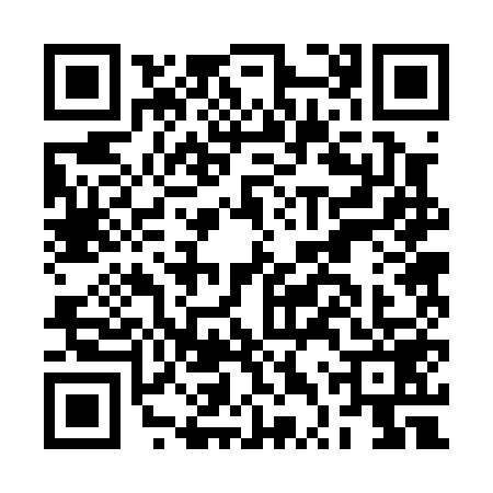 QR code for BTR0595