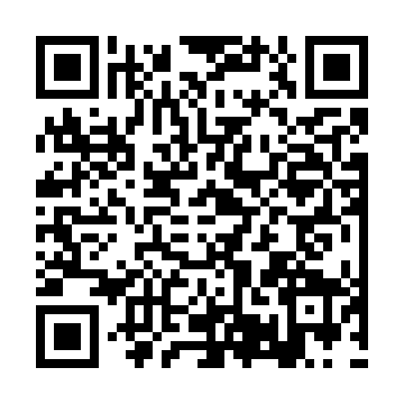 QR code for BUB7493