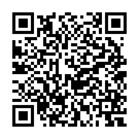 QR code for BUS2453