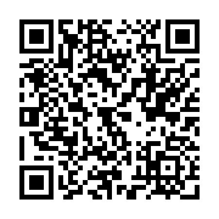 QR code for BXH0333