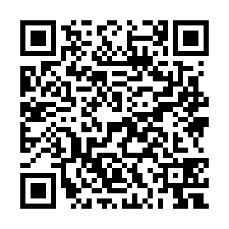 QR code for BXY7385