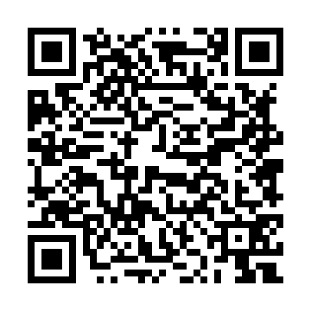 QR code for BZD8729