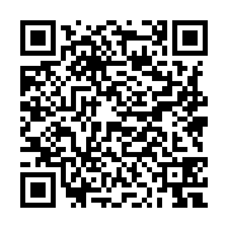 QR code for BZM9381