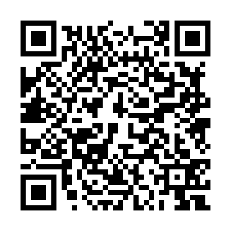 QR code for BZP8333