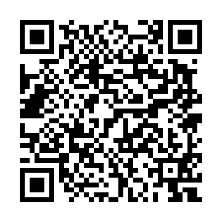 QR code for BZQ4917