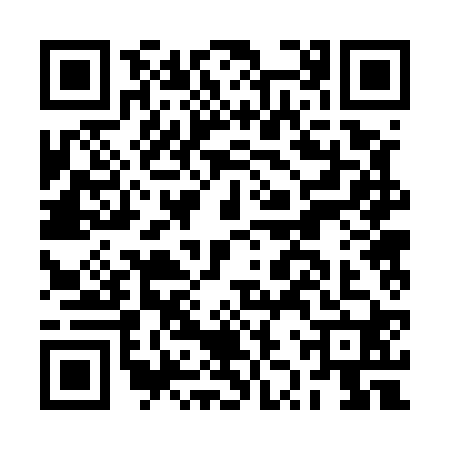 QR code for BZR5203