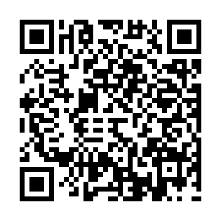 QR code for CAE3394