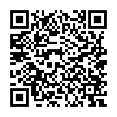 QR code for CAE9433