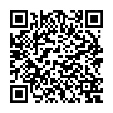 QR code for CAI2222