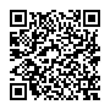 QR code for CAI9155