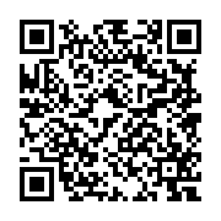 QR code for CAP8173