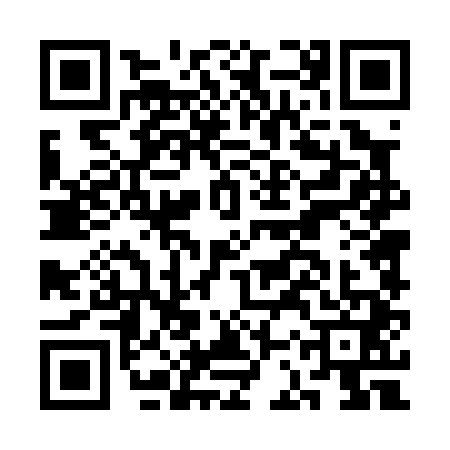 QR code for CCT0413
