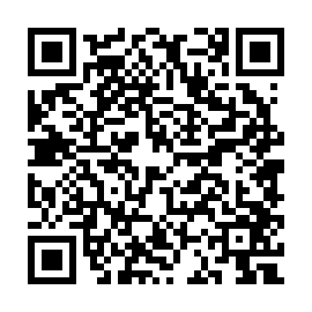 QR code for CCT2463