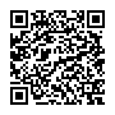 QR code for CDP4313