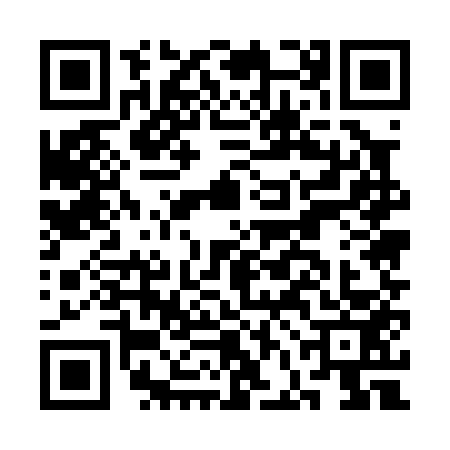 QR code for CFE0536