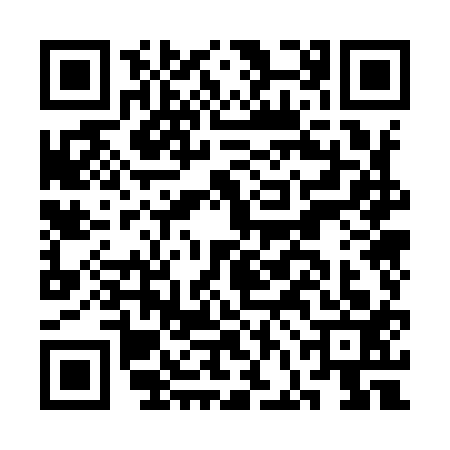 QR code for CFO9133