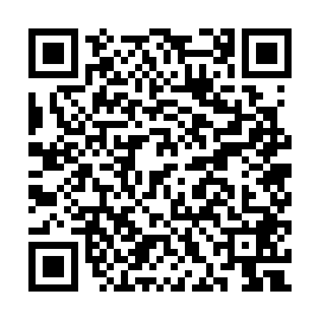 QR code for CHG3489