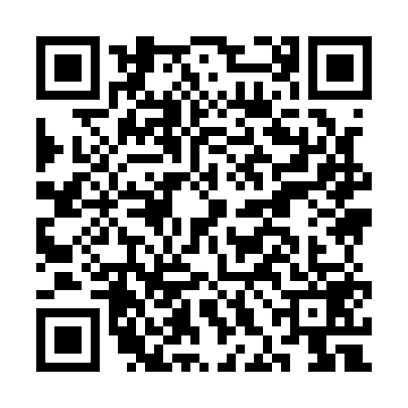 QR code for CHI1596