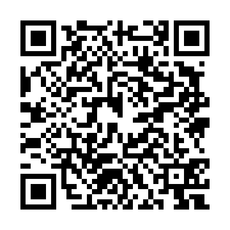 QR code for CHI4313