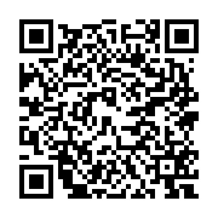 QR code for CHI6555