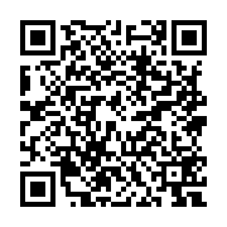 QR code for CHI9599