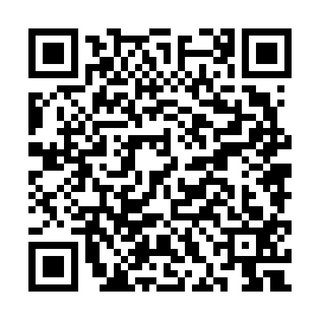QR code for CHN6133