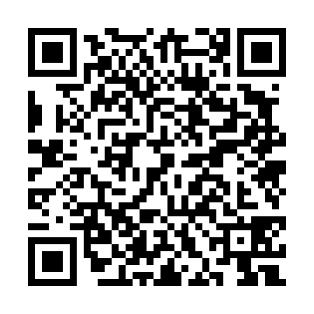 QR code for CHO4383