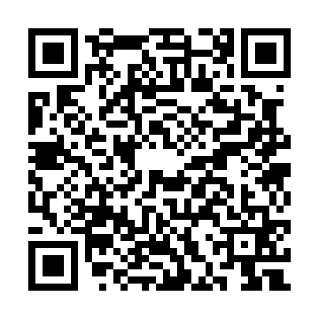 QR code for CHS0611