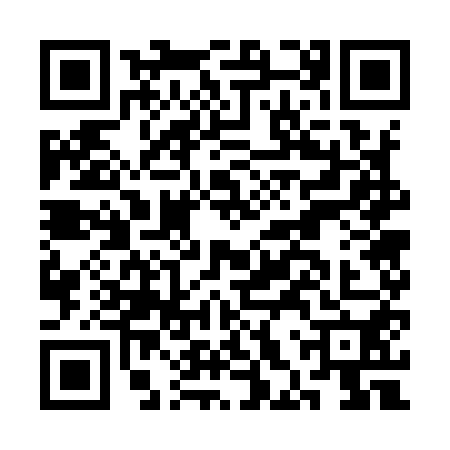 QR code for CHW9509