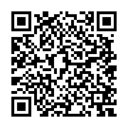 QR code for CKJ4029