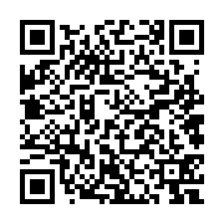 QR code for CKV3311