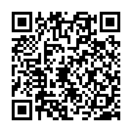 QR code for CMU2987