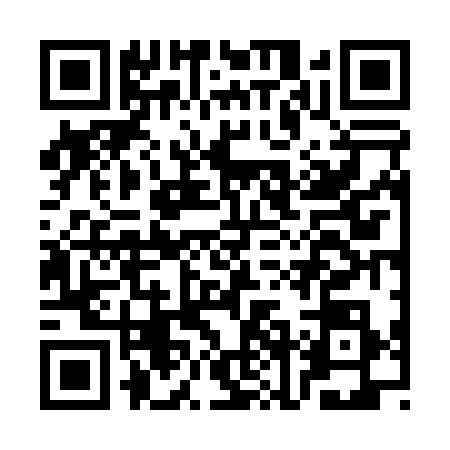 QR code for CNF0384