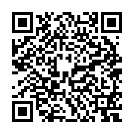 QR code for CNK2903
