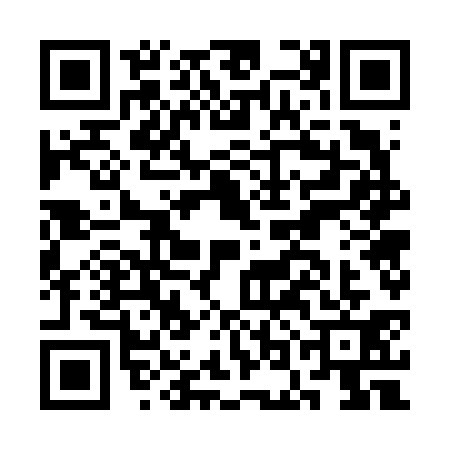 QR code for COG6313