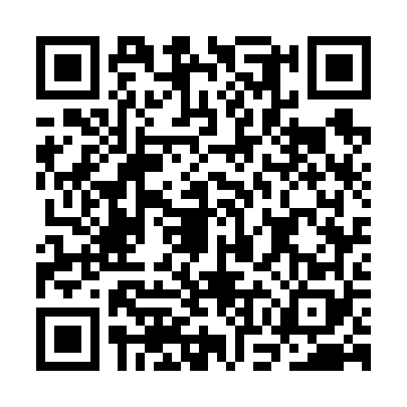QR code for COG6687