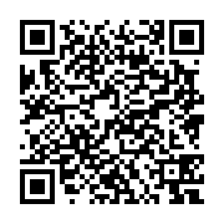 QR code for CPX0387