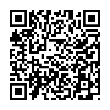 QR code for CQE0595