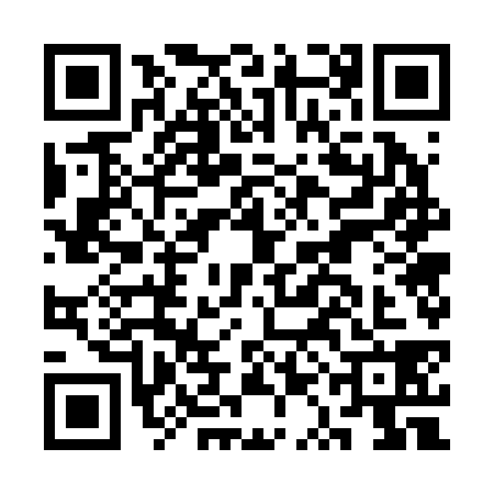 QR code for CQG2387