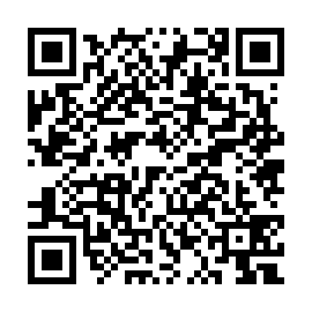 QR code for CQJ6391