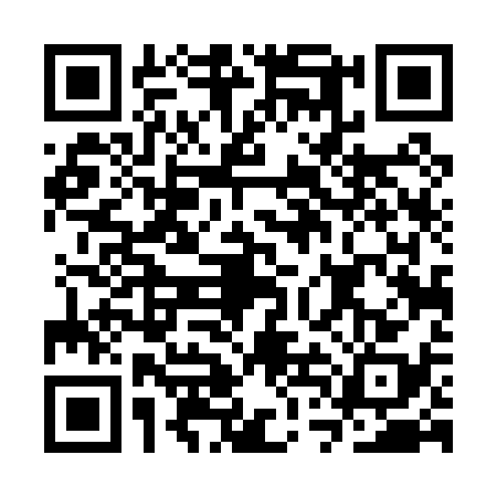 QR code for CTD0381