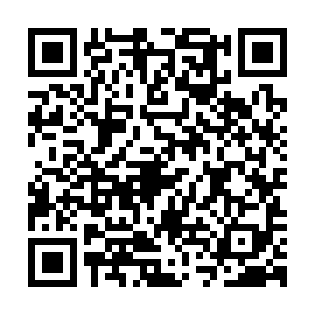 QR code for CTK3994