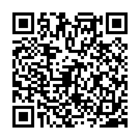 QR code for CVE0333